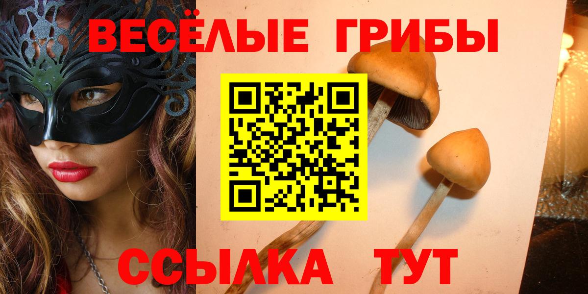 Еманжелинск  Галлюциногенные грибы прущие грибы  Вход с VPN 